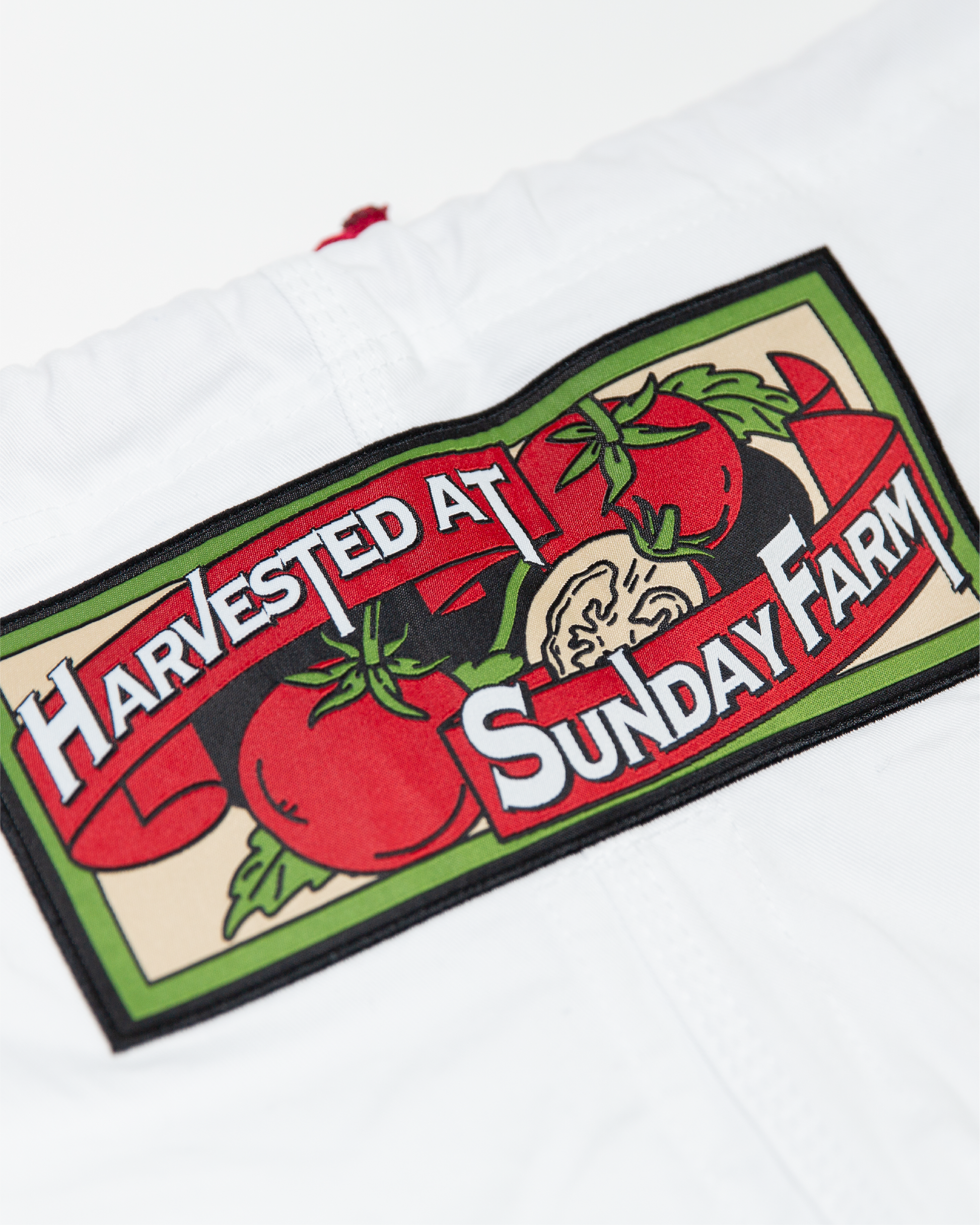 SUNDAY TOMATO CAN WHITE